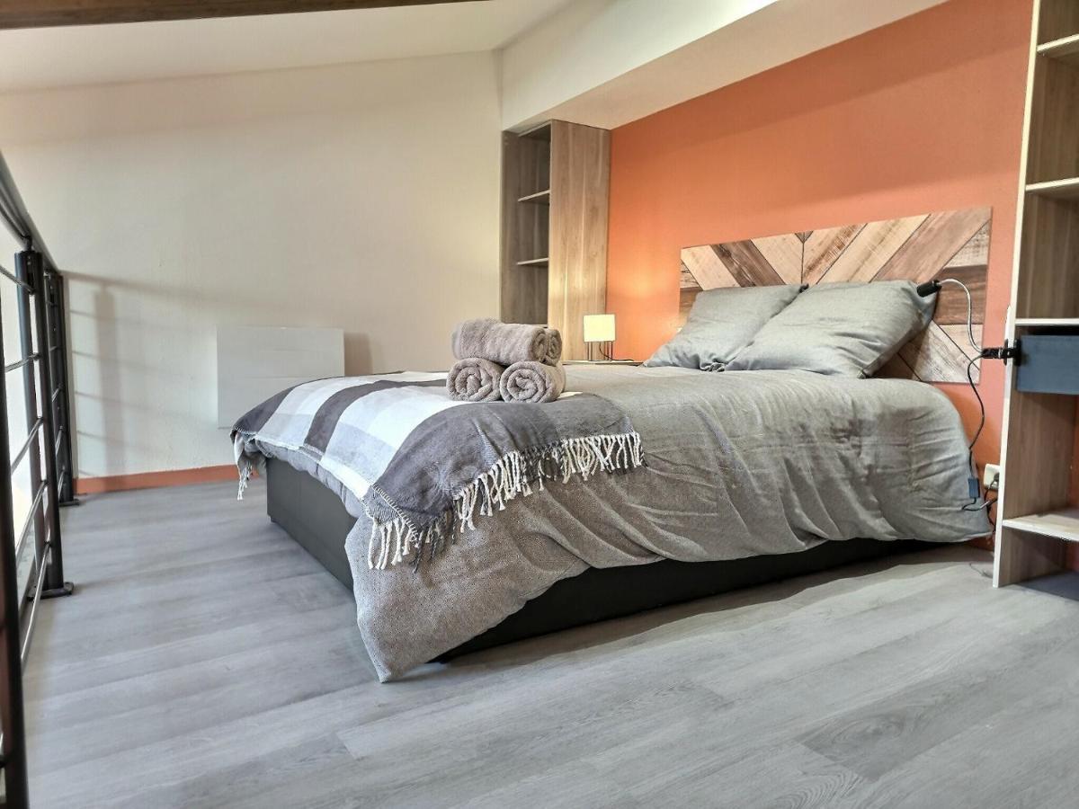 דירות אלבי Le Coquelicot - Hyper-Centre - Wifi - Calme מראה חיצוני תמונה
